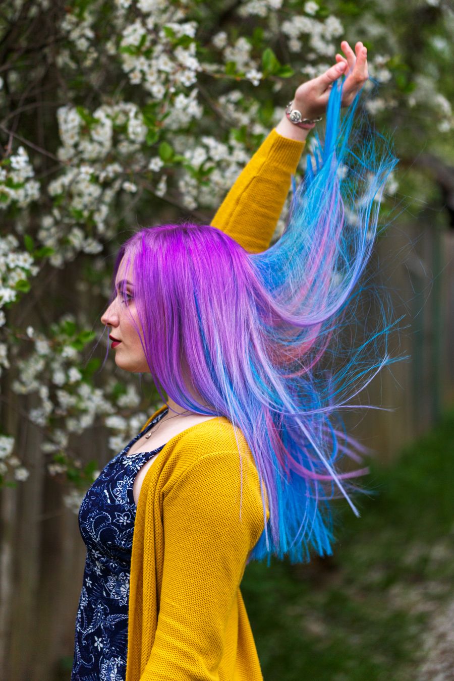 Colour & Highlights